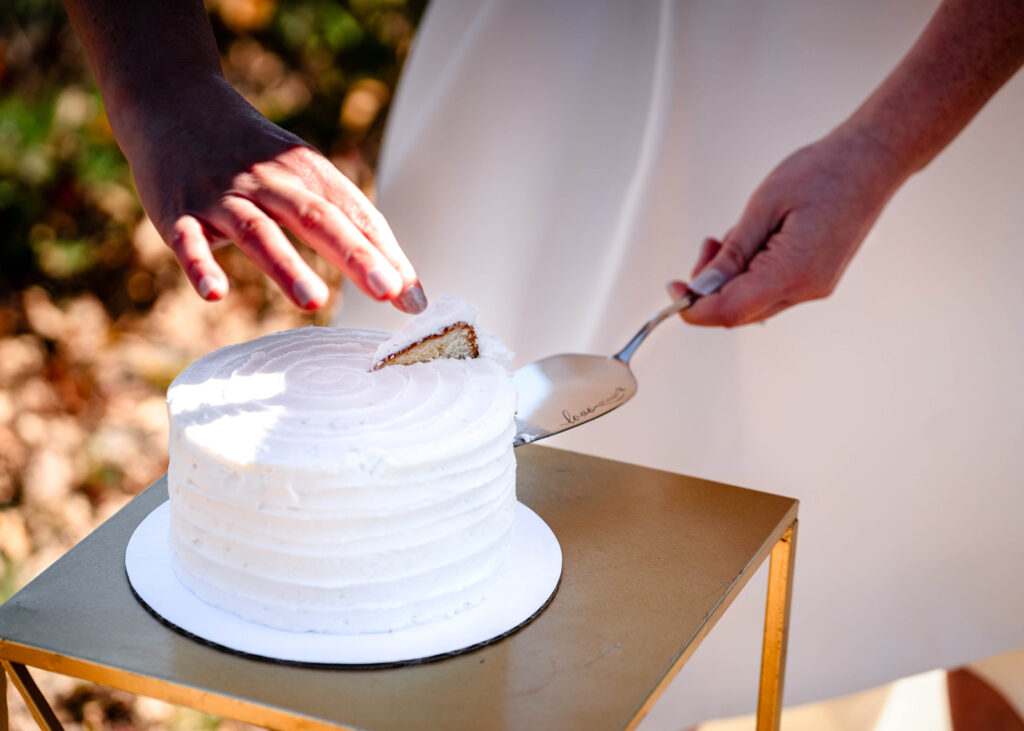 Poconos Elopement Couple cutting cake with Jim Thorpe Elopements